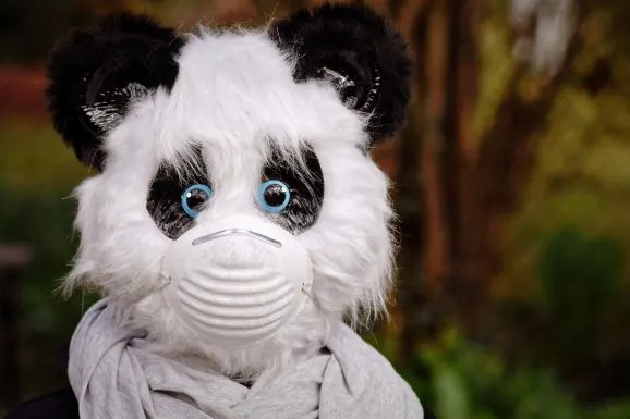 SlotsWin Casino Tugi